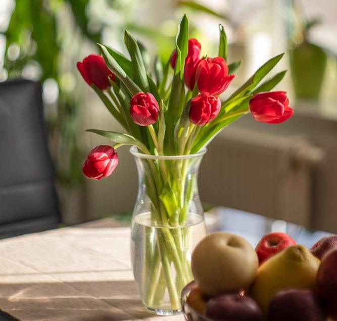 3. Probephase Mutter guter Hoffnung